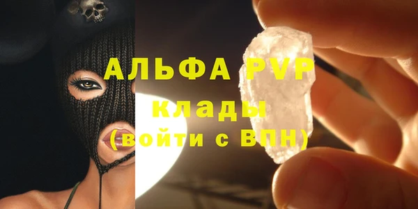 молекула духа Козловка