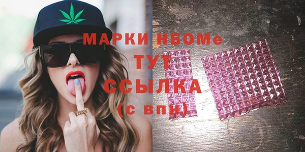 молекула духа Козловка