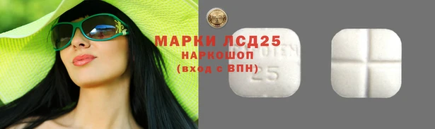 молекула духа Козловка