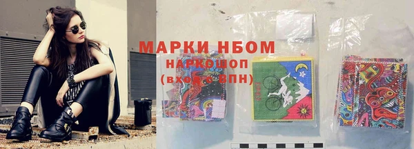 молекула духа Козловка