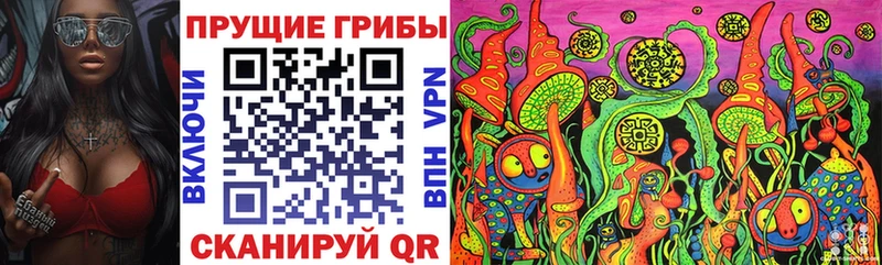 Купить Краснознаменск Галлюциногенные грибы MAGIC MUSHROOMS