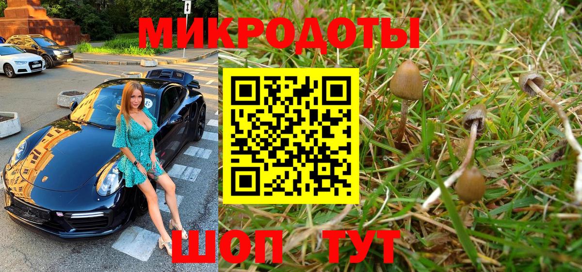 Краснознаменск  Псилоцибиновые грибы прущие грибы  Вход с VPN 