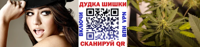 Купить  Краснознаменск  Каннабис сатива 
